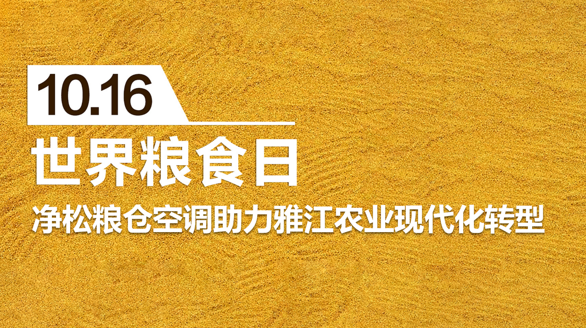 粮安天下，净松粮仓空调助力雅江农业现代化转型