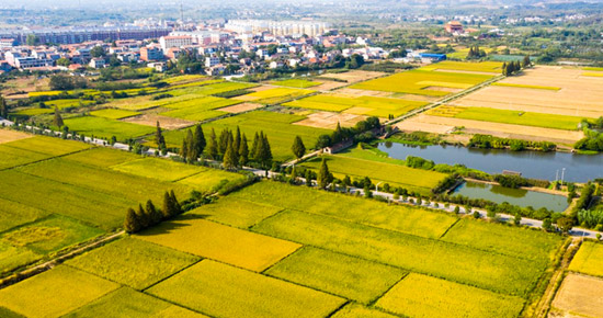净松粮仓空调入驻安徽芜湖国良双凤粮库