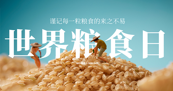 世界粮食日，净松粮仓空调落户山西长治，以科技硬实力筑牢粮食储备安全屏障