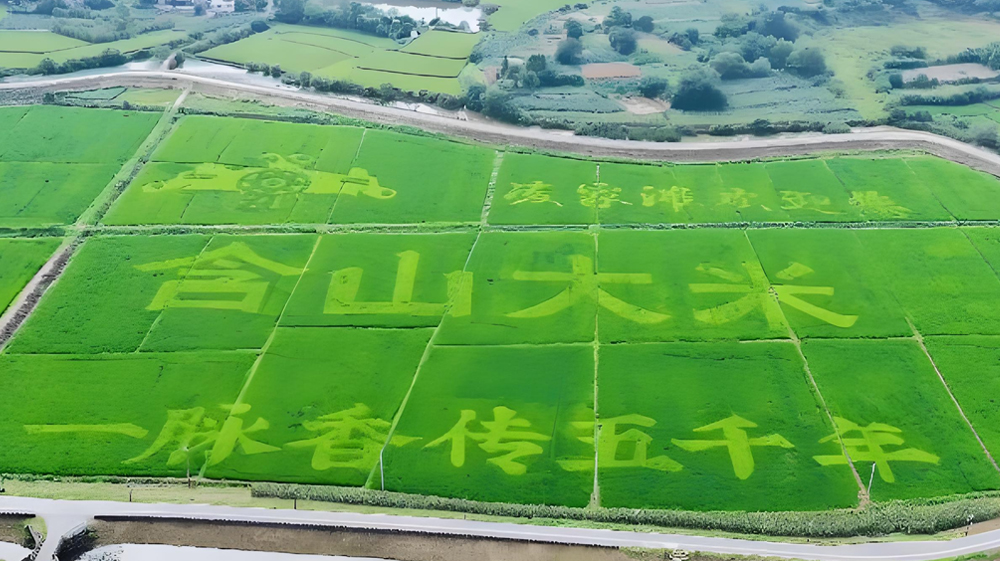 亚新网页版