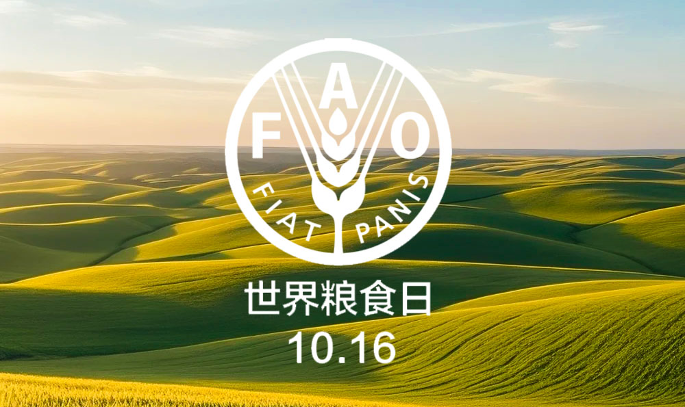 亚新网页版